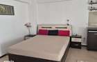 Apartament 1 camera Centru Civic , 35 metri, etaj 1 Cod:161154 - 11