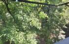 Apartament cu 2 camere decomandat în Copou - 10