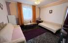 Apartament cu doua camere Calea Lipovei - 4