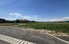 58. 000 MP Intravilan Domnesti | PUZ | Vis-a-vis Lidl Investitie Premium - 1