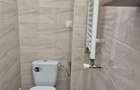 Apartament cu 3 camere semidecomandat în Basarabia - 16