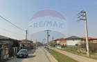 Teren intravilan de 3059 mp, în Mogoșoaia - 3