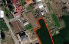 Direct proprietar | Teren 1.400 mp in Moara Vlasiei Curent, Urbanism complet, Drum public, BONUS PROIECT DE CASA GATA FACUT - 2