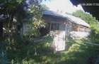 Casa curte si cca 5000mp la 50km de Bucuresti - 6
