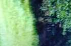 Vand padure in loc. Vulpeni jud Olt - 3