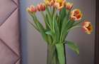 Apartament 2 camere, H Pipera Lake - 9