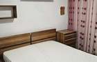Apartament cu 2 camere decomandat în Balș - 4