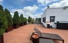 Penthouse cu 4 camere decomandat în Titan - 17