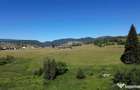 Teren in Bucovina! La Munte! De ! 0727817187 - 11