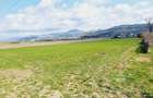 Teren intravilan 8906 mp, Dofteana - 2
