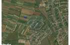 De Vanzare teren intravilan 1417 mp, Cihei - 2