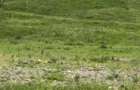 Vand teren zona Bran - 2