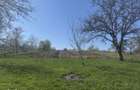 Casa si teren de vanzare la 40 km de Baia Mare - 9
