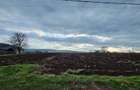 Teren intravilan 5400 mp Tatarusi, zona excelenta, acte la zi - 6