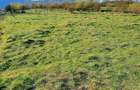 vand teren 500 m2 intravilan Cisnadioara - 1