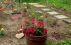 Cabana in zona Gherla, teren 1617 mp, zona linistita rel - Gherla (Cluj)