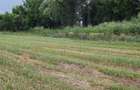 Teren extravilan de 4900 mp, în Boldești - 8
