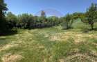 Teren Construcții de 3000 mp, în Valea Mare-Pravăț - 3