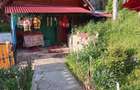 Casă cu 4 camere în Horea - 1