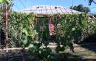 Vand casa in Dealu Morii - 5