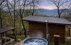 cabana de inchiriat cu ciubar jacuzzi - 4