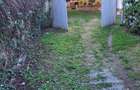 Casa Pestisul Mare la pretul corect. - 9