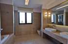 Duplex cu 4 camere cu Canalizare în Iancu Nicolae - 8