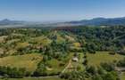 Teren intravilan de 5495 mp, în Bran - 6