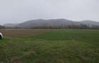 Vand Teren Agricol Galgau Jud Salaj - 3