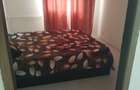 Apartament cu 3 camere semidecomandat în Nicolae Grigorescu - 2
