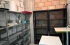 3 camere cu 84 mp de curte | 2 parcari subterane | boxa 8 mp amenajata - 1