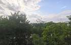 Apartament Zona Shopping City - 8