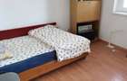 39877 Garsoniera Far - 3