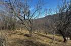 Teren de vanzare comuna Mioarele, sat Matau - 5