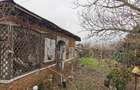 Vand casa Gratia Teleorman - 6