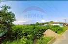 Teren intravilan 5,018mp Variasu Mare - 15 km de Arad/ st... - 2