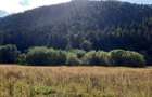 Teren Intravilan | Schitu Tarcau | 2089MP | Izvor | Platou - 4