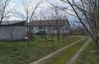 Vand ferma 9Ha, comuna Pestera, judetul Constanta - 11