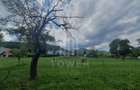 Teren de vanzare in Sibiel . - 2