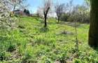 Teren Intravilan Oradea (Saldabagiu de Munte)Zona Hanul Pescarilor - 5
