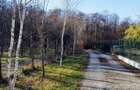 Teren intravilan vizavi de Padurea Snagov - 1