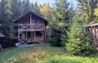 2 Cabane lemn Vadu Negrilesei, 96MP, 1100 MP teren, 45k
