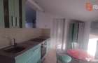 Casa individuala 7 camere- Zona Lipovei - Timisoara (Timis)
