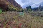 Teren intravilan, 500 mp, Sacele, Brasov