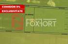 Teren agricol extravilan de 10000 mp, în Săcălaz - 1