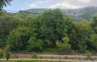 Casa de caramida la rosu, 3765mp teren intravilan, Valea Ariesului, AB - 4