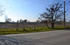Vanzare Teren intravilan, 5600 mp in Mircea Voda - Dambovita. - 2