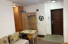 Apartament 2 camere de inchiriat-Zona Doamna Stanca - 8