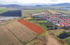 Teren extravilan Bod, 10.000 mp, acces DE 290, zona spre Harman - 10
