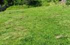 Teren intravilan zona deosebita cu utilitati - 6